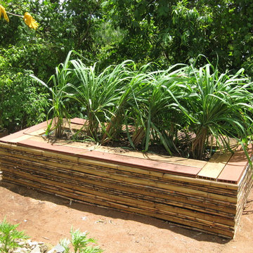 Edible and Medicinal Gardens for Yoga Center