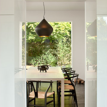 Modern Oasis