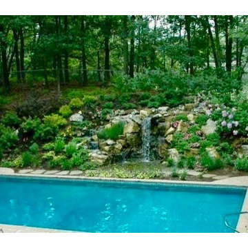 'After' Photo of New Backyard Pool Area (Dix Hills/NY):
