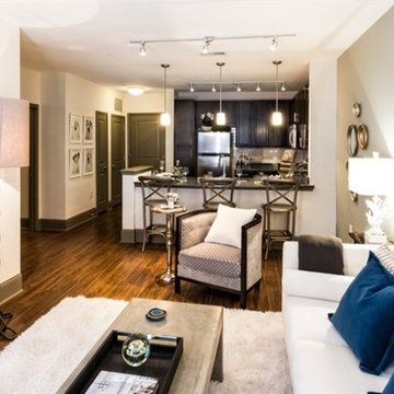 Previous Employer Design Work - Multi-family / Mixed Use / Single Family