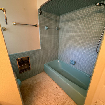 Atlantis shower project