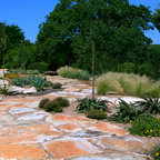 Alamo Residence Mediterranean Landscape San Francisco By Firma Design Group