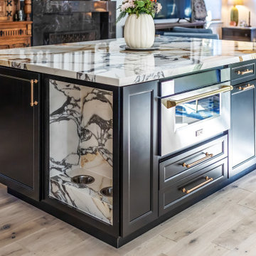 Calacatta Paonazzo Large Format Porcelain Kitchen Remodel
