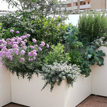 Making Use Of An Unfinished Veranda