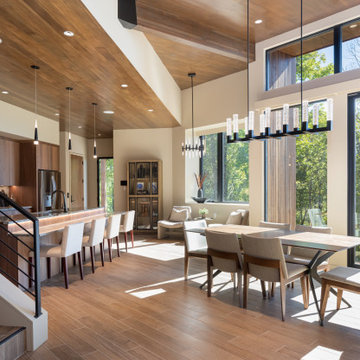 Laurel Ledge Modern