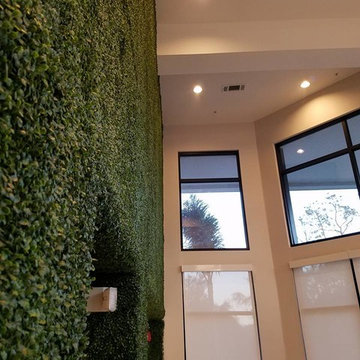 Fake Ivy Projects