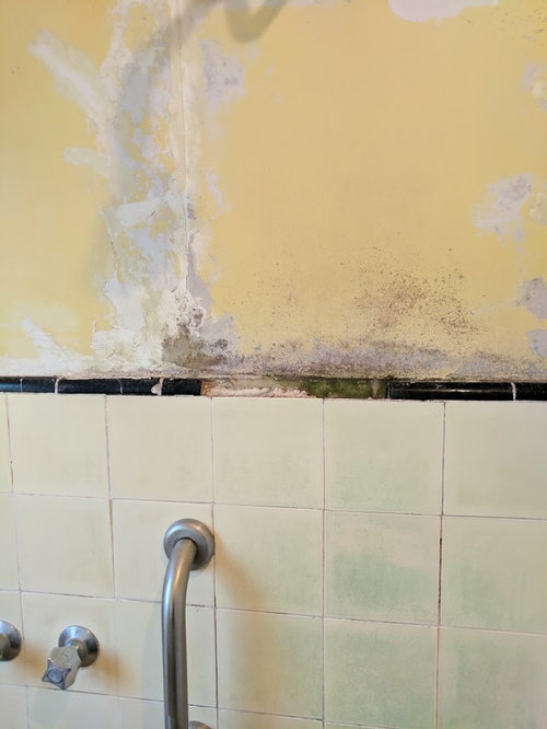 Asbestos walls? Houzz AU