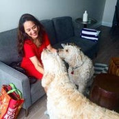 Hoda Gerami's photo