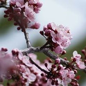 Michele Watsonstover's photo