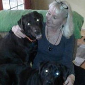 Kim Wassermann's photo