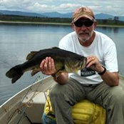 David Wescott's photo