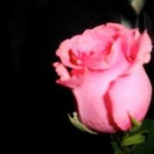 Fran Harriss foto