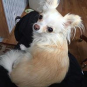 Faye Hunt's photo