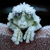 Dot Wilson's photo