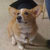 Jessica Fahey's photo