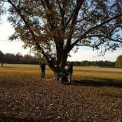 Starr Pearce's photo