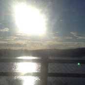Ann Marie Lynch's photo