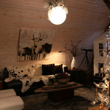 basement den
