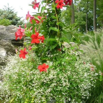 ne with Spring and Summer Container Design