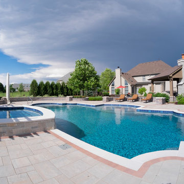 Elgin, IL Roman End Pool with Freeform Hot Tub