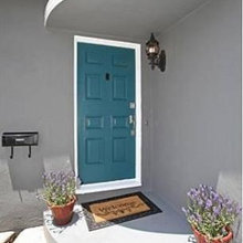 Door Colors