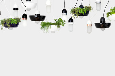 Well Light Planter