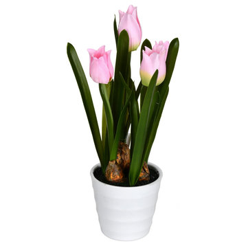 10" Pink Tulips In White Pot 2/Pk