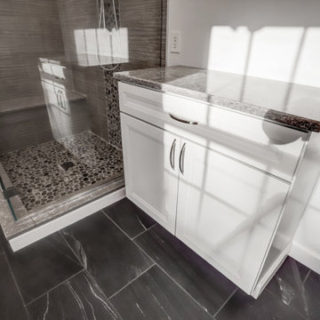 Primary Bathroom Remodel Frederick, MD