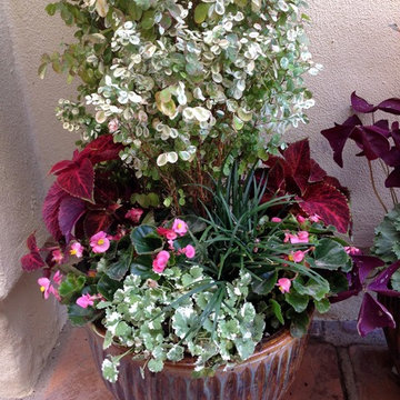 Container Garden