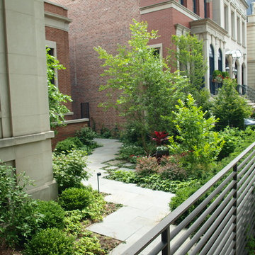 Urban Garden Path