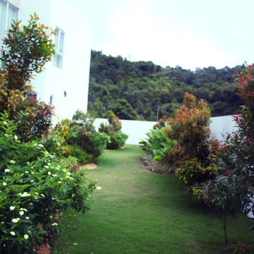 A colourful pathway
