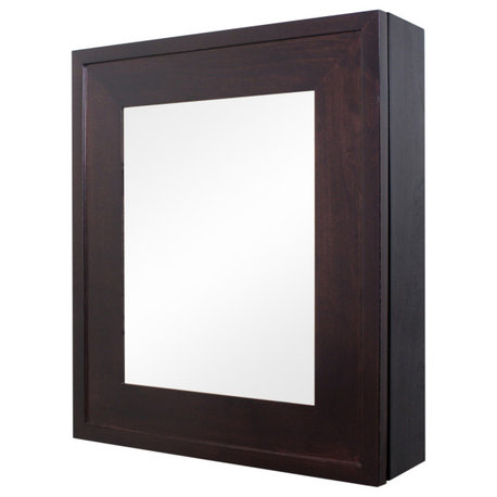 Wall Mount Mirrored Medicine Cabinet, Coffee Bean