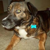 Allison Freeland's photo