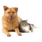 Cheryl Lang's photo