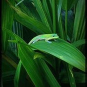 Cindy Shultz's photo