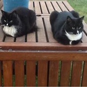 Foto de Helen Modos
