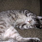 Margie Dufrene's photo