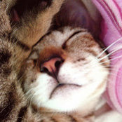 Polly Catさんの写真