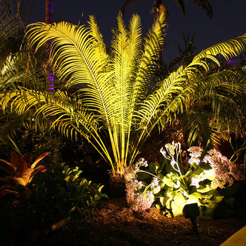 Landscape Lighting