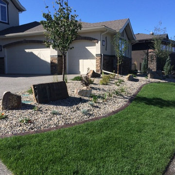Artesia Project 21