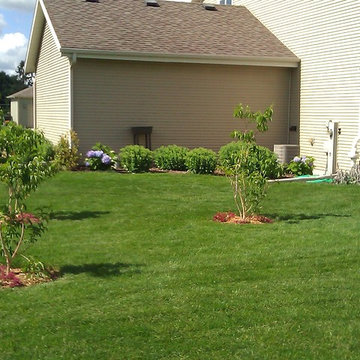 Brewster backyard on a budget