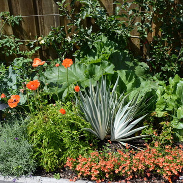 Raised Vegetable Bed / Ornamental Garden 2016copyright 2017 Glenna Partridge Ur