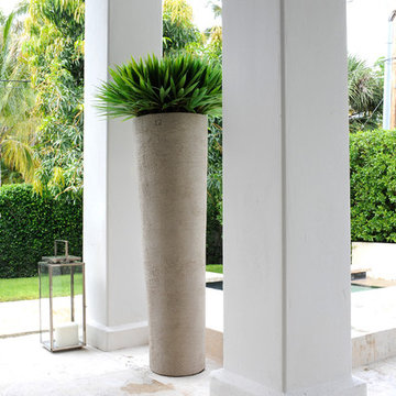 Emilio Robba Yucca