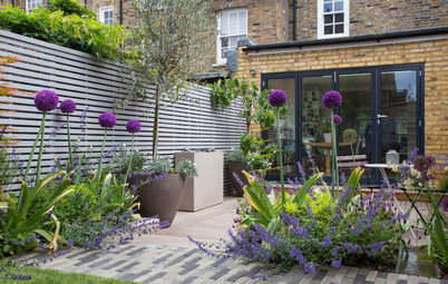 6 Ways You Can Save on Your Garden Renovation