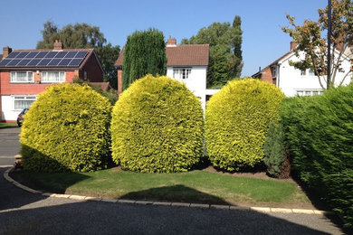 Hedge cutting