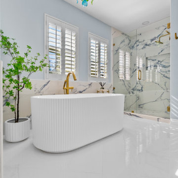 Whole home remodel - San Diego 92130