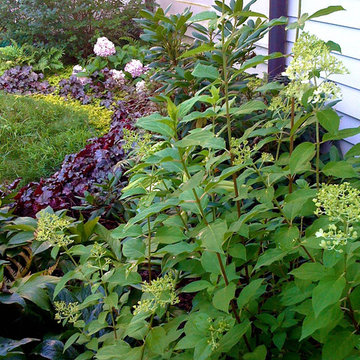 Green Springs:  Growing a New Old Garden