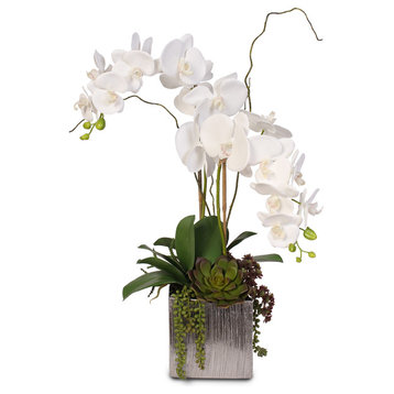 White Phalaenopsis Orchids With Succulents in Silver Ceramic Pot