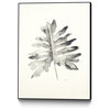 Black & White Palm II Art block Framed Canvas, 11"x14"