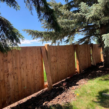 Bearspaw Fence rebuild